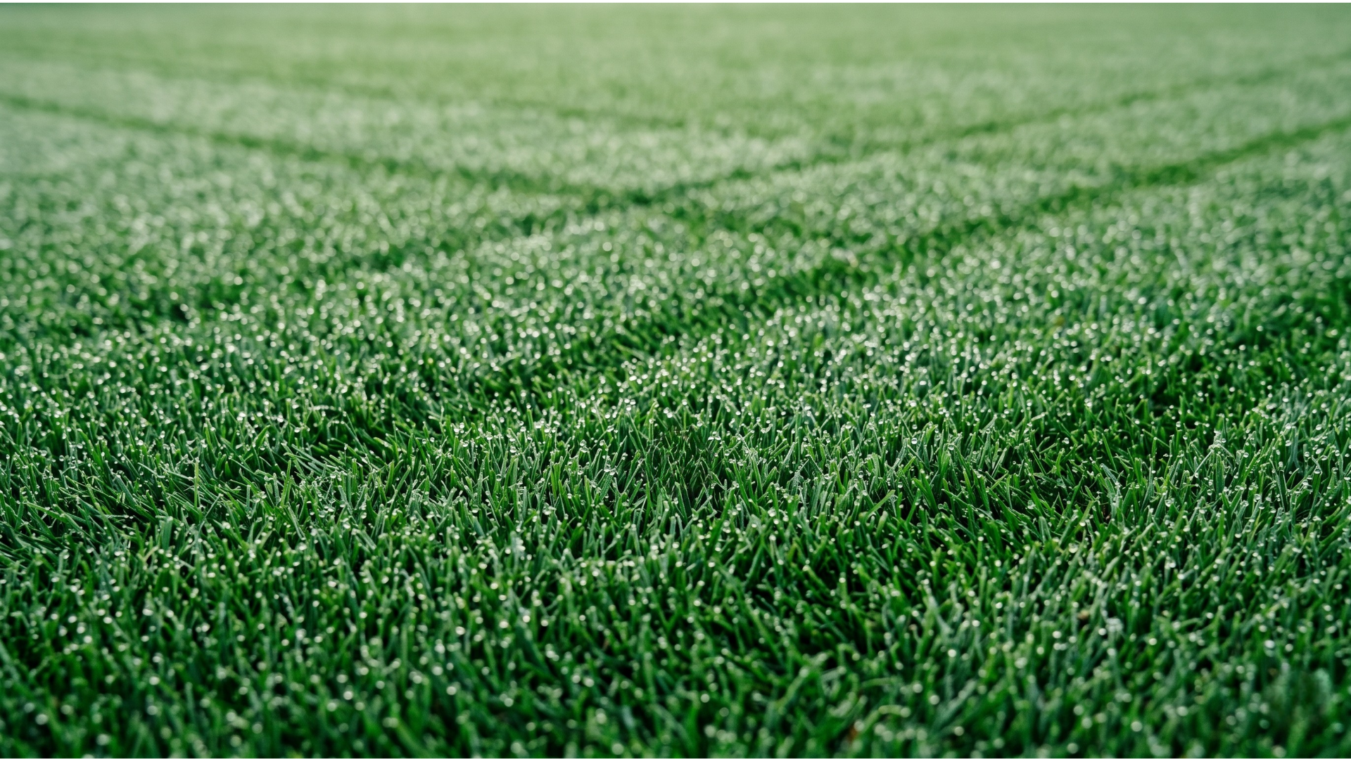 Contact Greenpoint Lawn Care for a free property maintenance quote in Powassan and North Bay Ontario